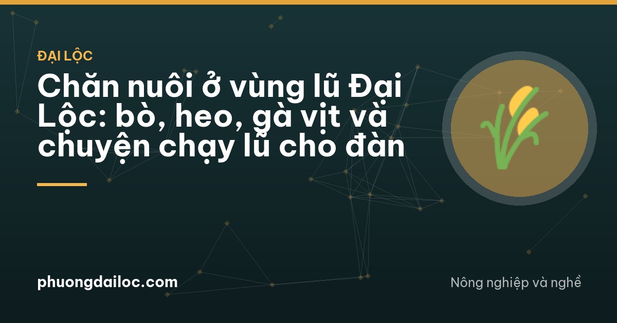 Chăn nuôi ở vùng lũ Đại Lộc: bò, heo, gà vịt và chuyện chạy lũ cho đàn